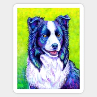 Watchful Eye Colorful Border Collie Dog Sticker